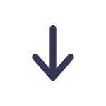 Arrow Bottom 2 SVG Icon